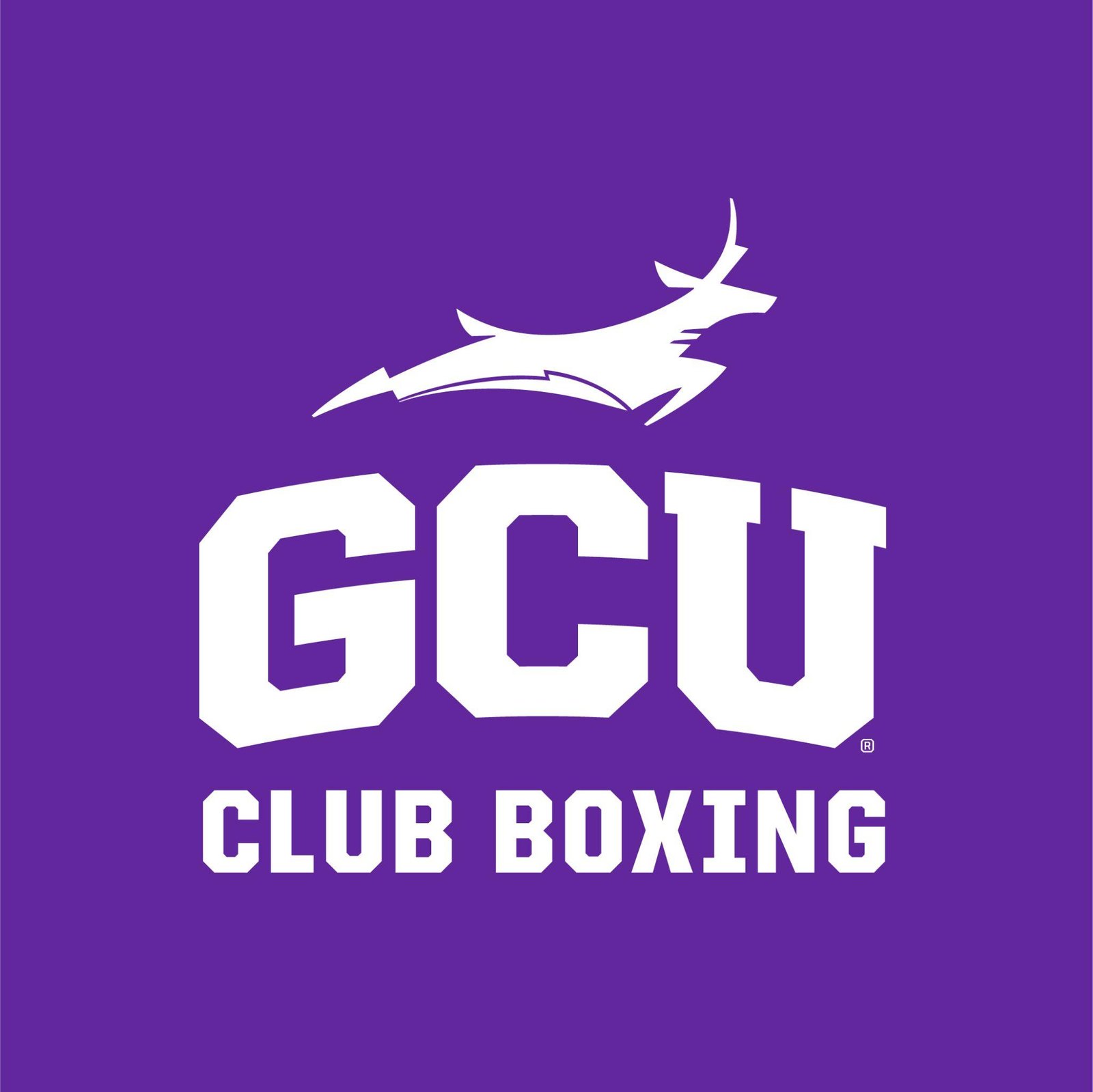 GCU Club Boxing